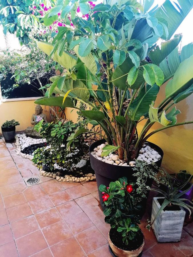 Vivienda Vacacional Vaiana Las Rosas  Zewnętrze zdjęcie